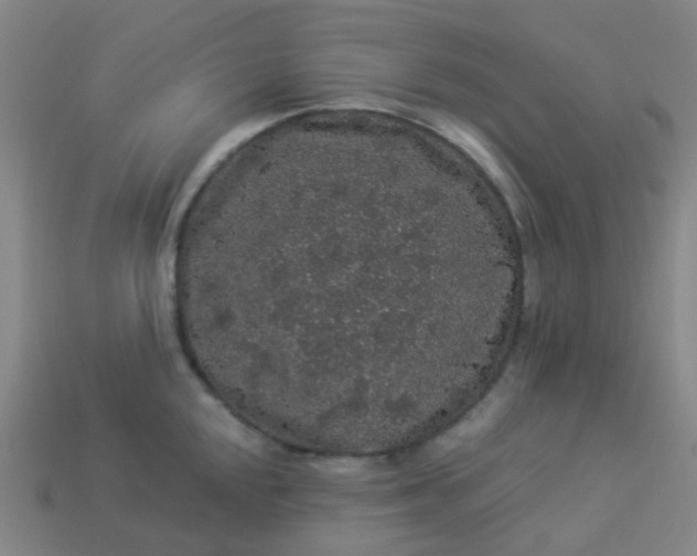 X0000114121048200910191719