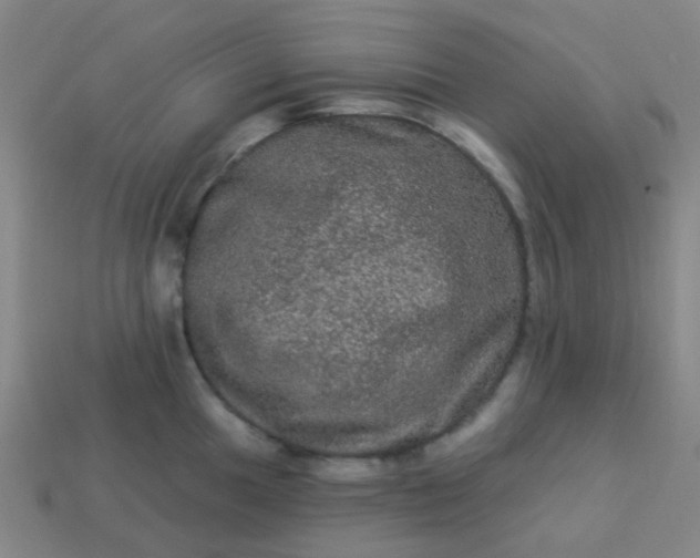 X0000114121049200910191719