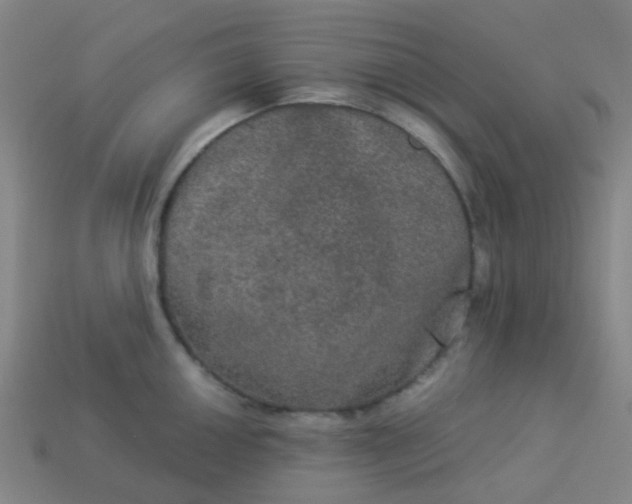 X0000114121050200910191719