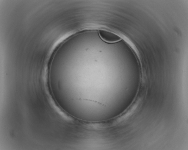 X0000114121053200910191719