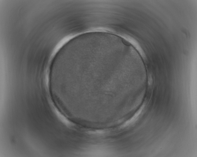 X0000114121054200910191719