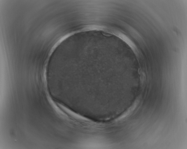 X0000114121055200910191719