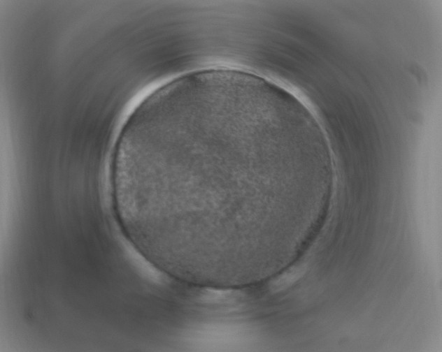 X0000114121056200910191719