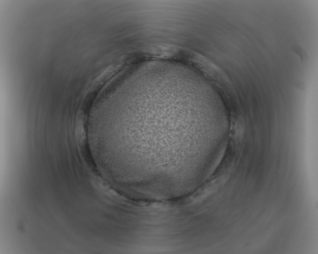 X0000114121058200910191718