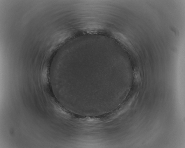 X0000114121060200910191718