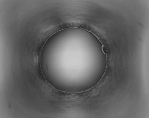 X0000114121061200910191718