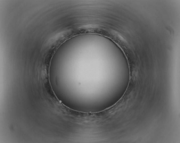 X0000114121062200910191718