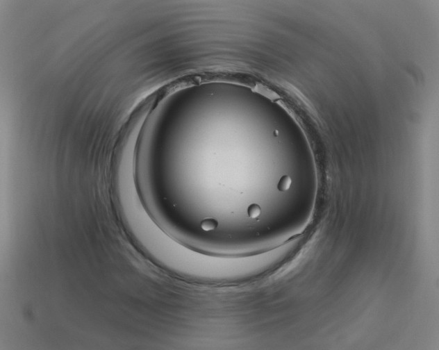 X0000114121065200910191718