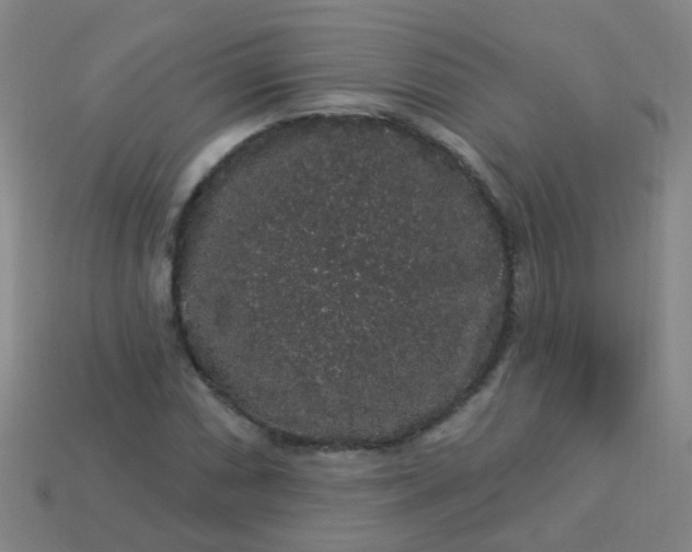 X0000114121066200910191718