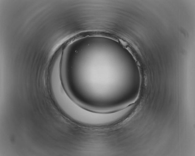 X0000114121069200910191718