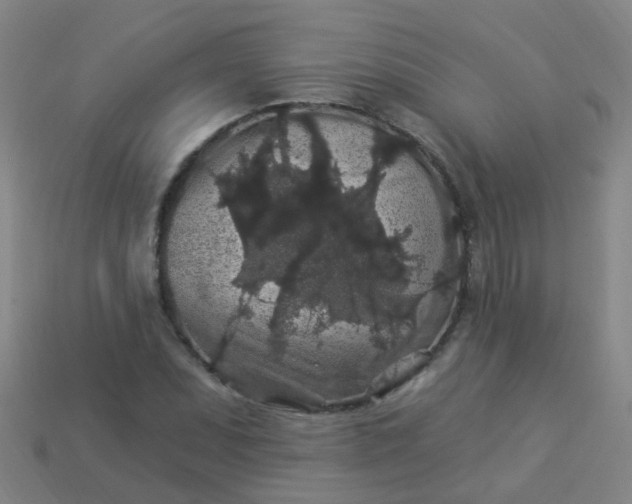 X0000114121071200910191718