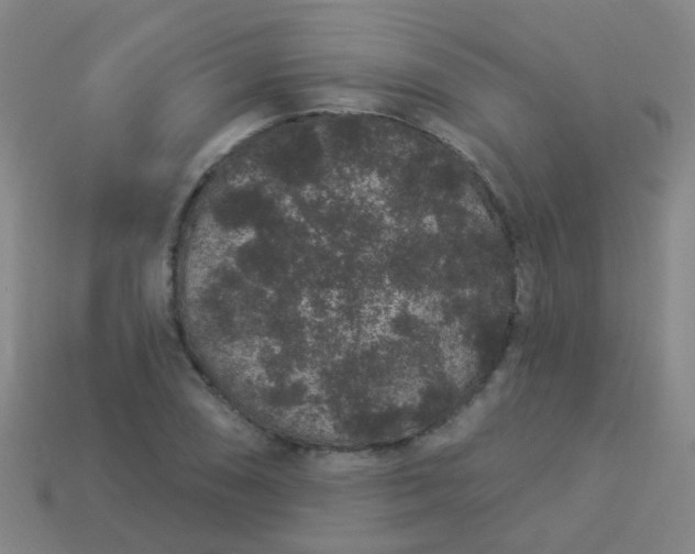 X0000114121074200910191718