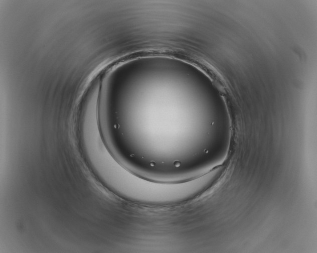 X0000114121075200910191718