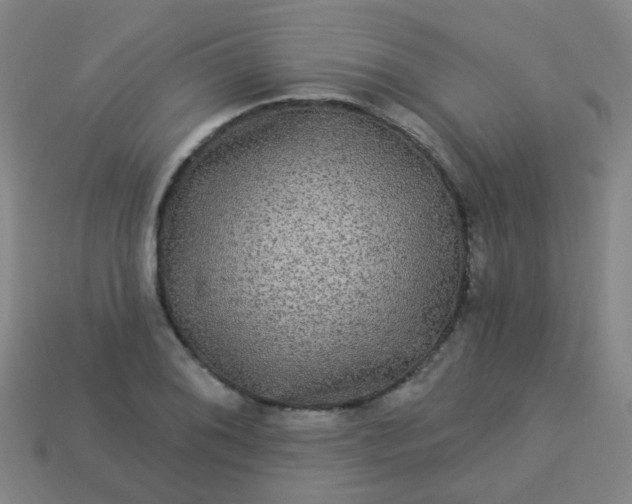 X0000114121076200910191718