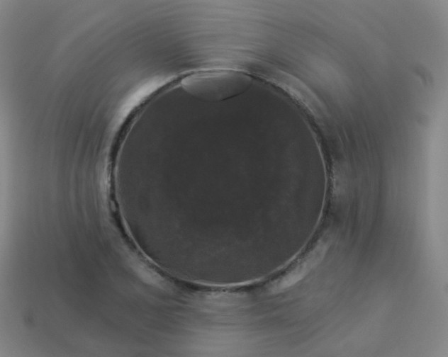 X0000114121077200910191718