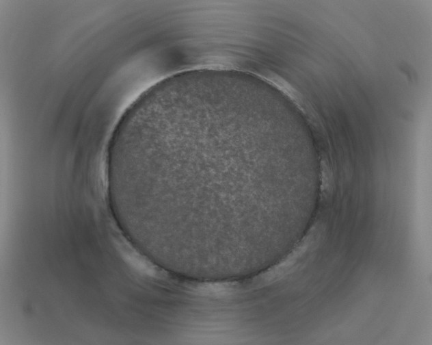 X0000114121078200910191718