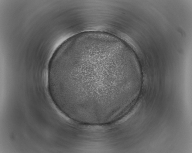 X0000114121079200910191718