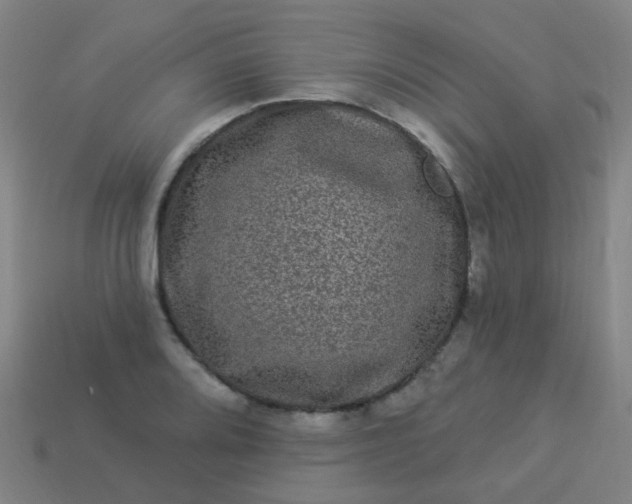 X0000114121080200910191718