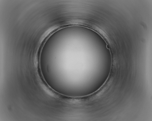 X0000114121082200910191718