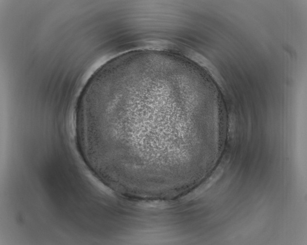 X0000114121083200910191718