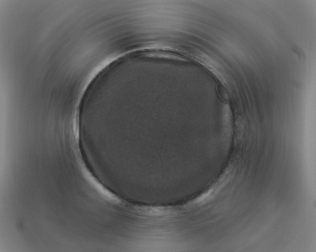 X0000114121084200910191718