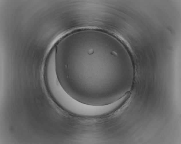 X0000114121085200910191718