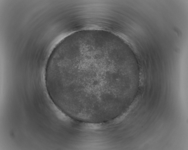 X0000114121086200910191718