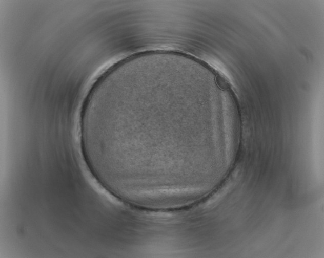 X0000114121088200910191718