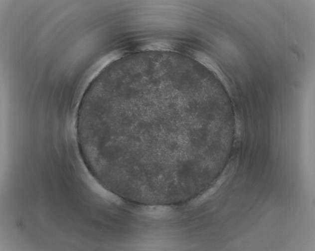 X0000114121090200910191718