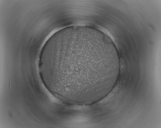 X0000114121091200910191718