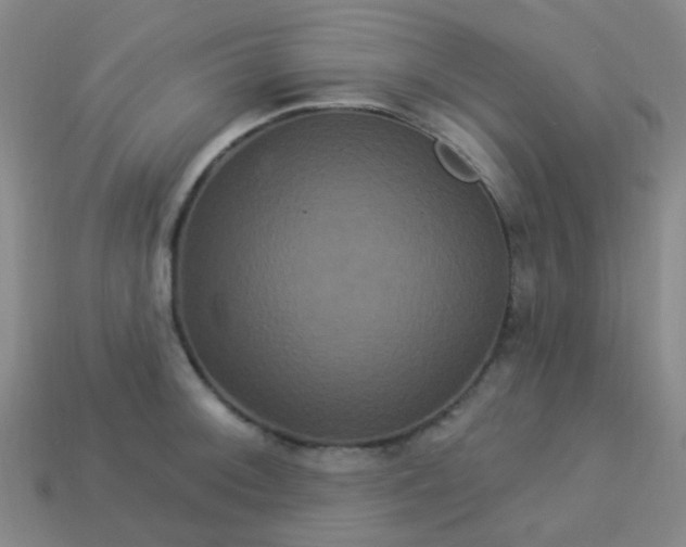 X0000114121092200910191718