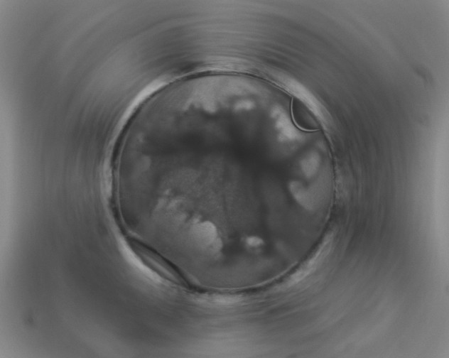 X0000114121095200910191718