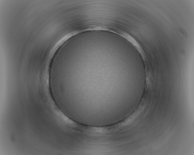 X0000114121096200910191718