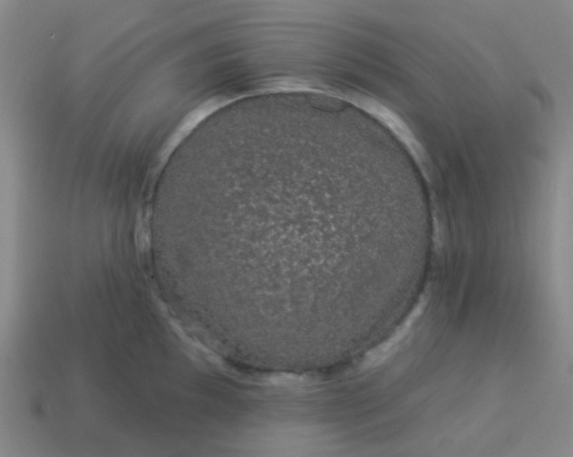 X0000114121097200910191718