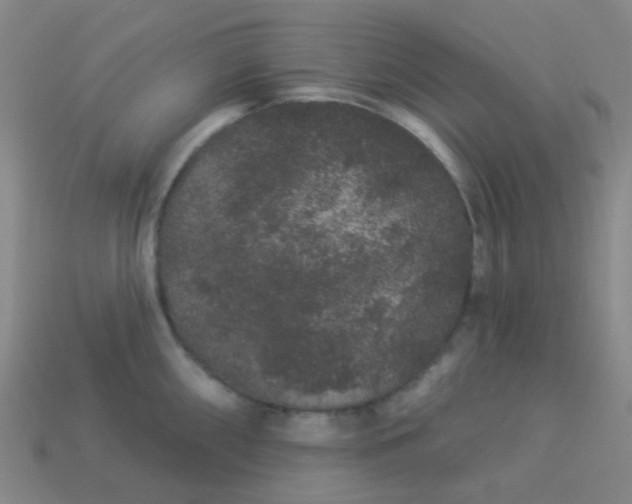 X0000114121098200910191718