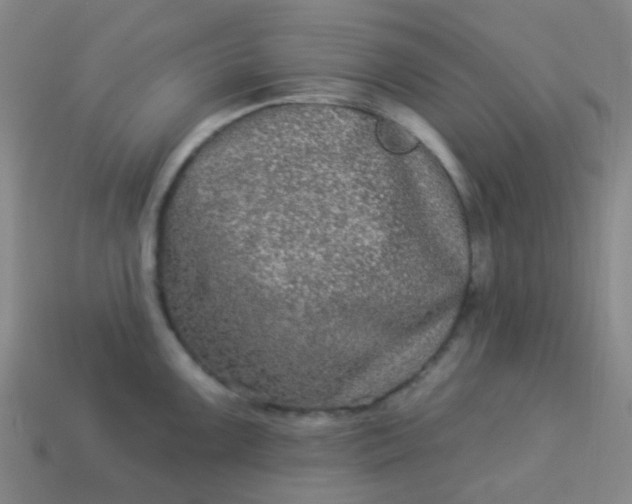 X0000114121099200910191718