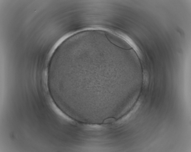 X0000114121100200910191718