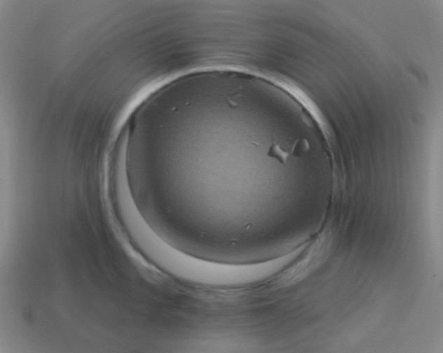 X0000114121101200910191718