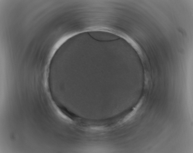 X0000114121102200910191718