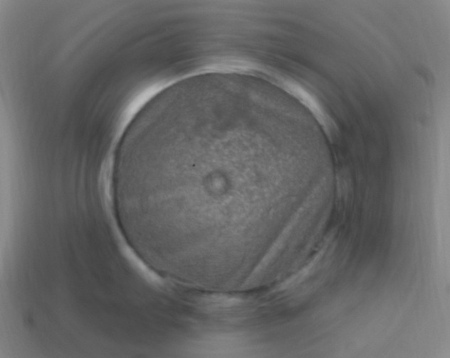 X0000114121103200910191718