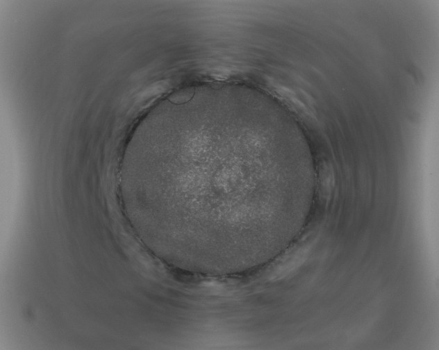 X0000114121105200910191717