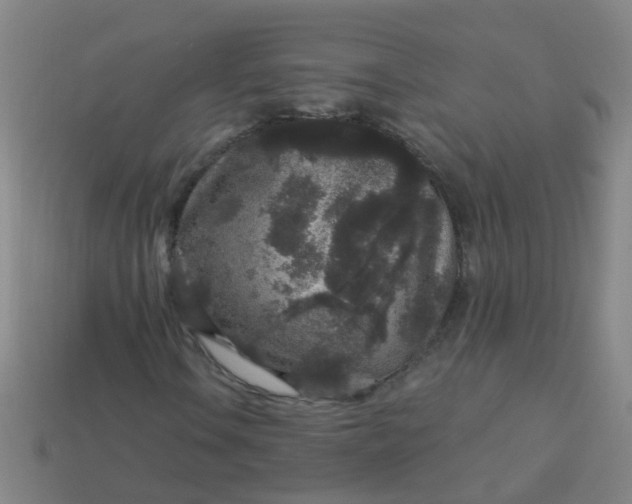 X0000114121106200910191717