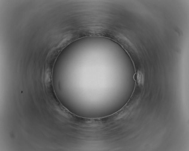 X0000114121107200910191717