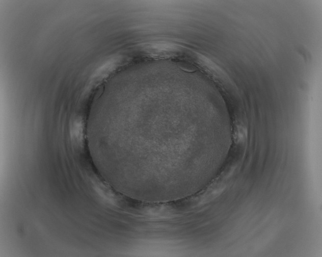 X0000114121108200910191717