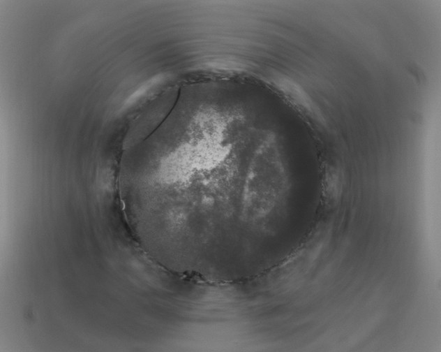 X0000114121110200910191717