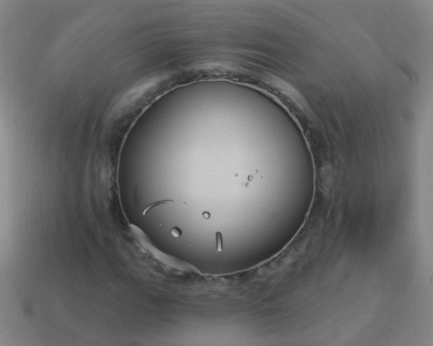 X0000114121111200910191717