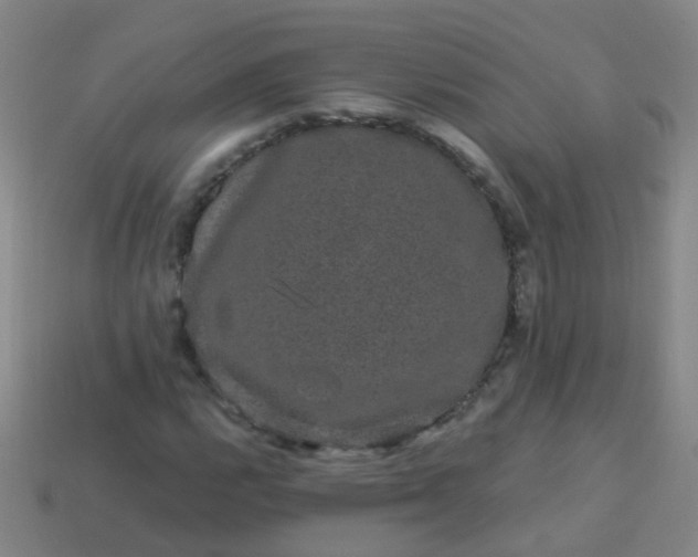 X0000114121112200910191717