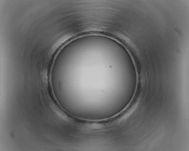 X0000114121113200910191717