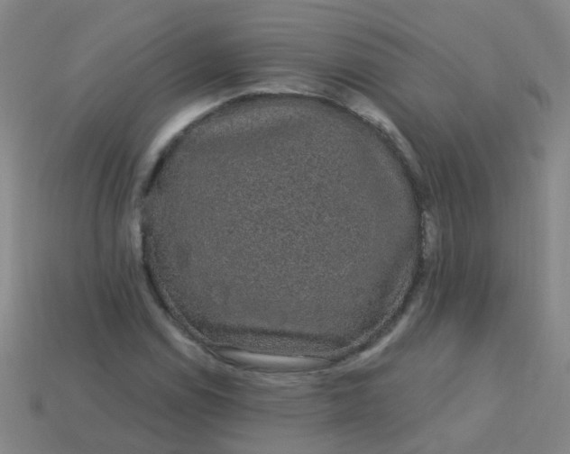 X0000114121114200910191717