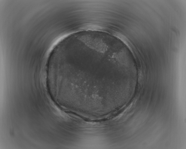 X0000114121115200910191717